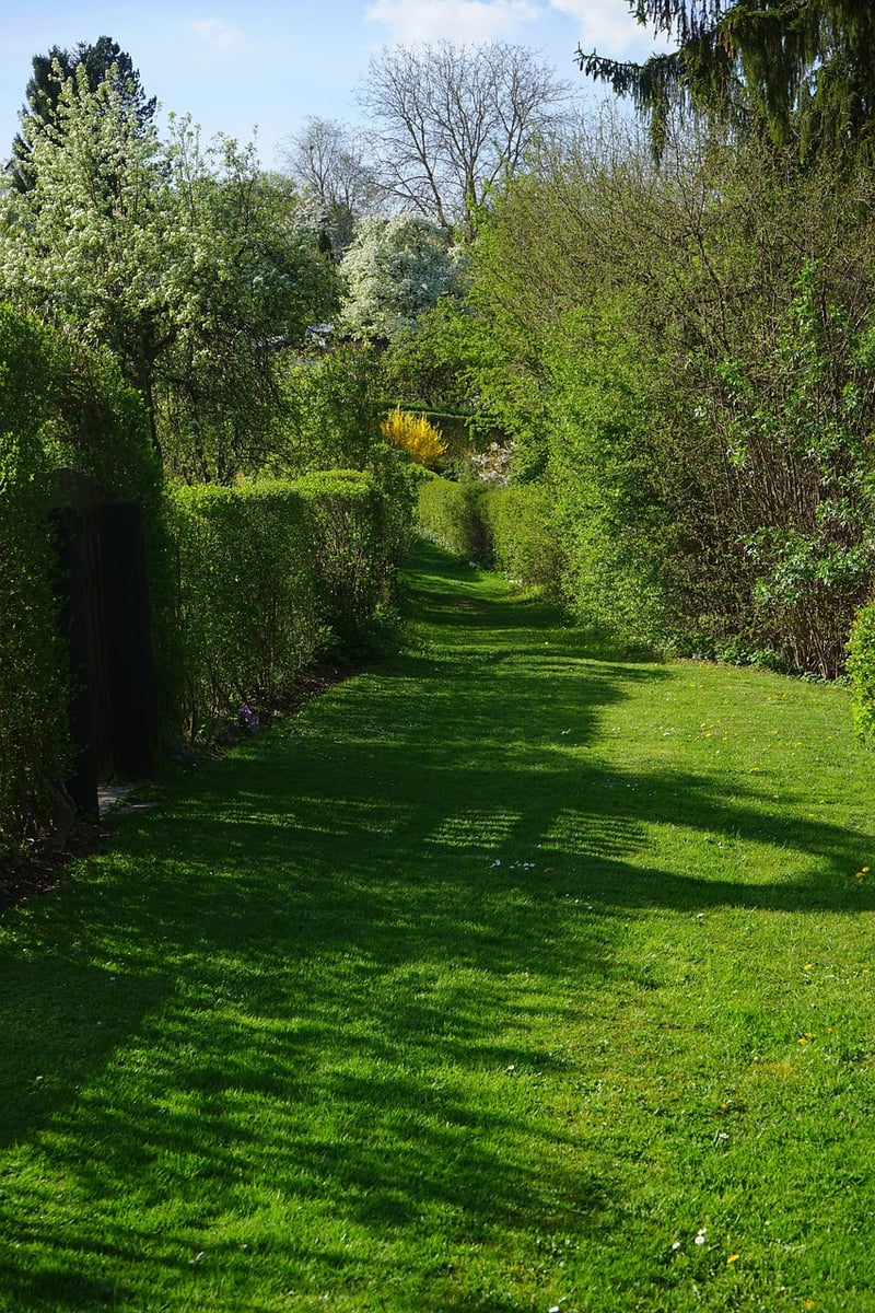 Sustainable Gardening